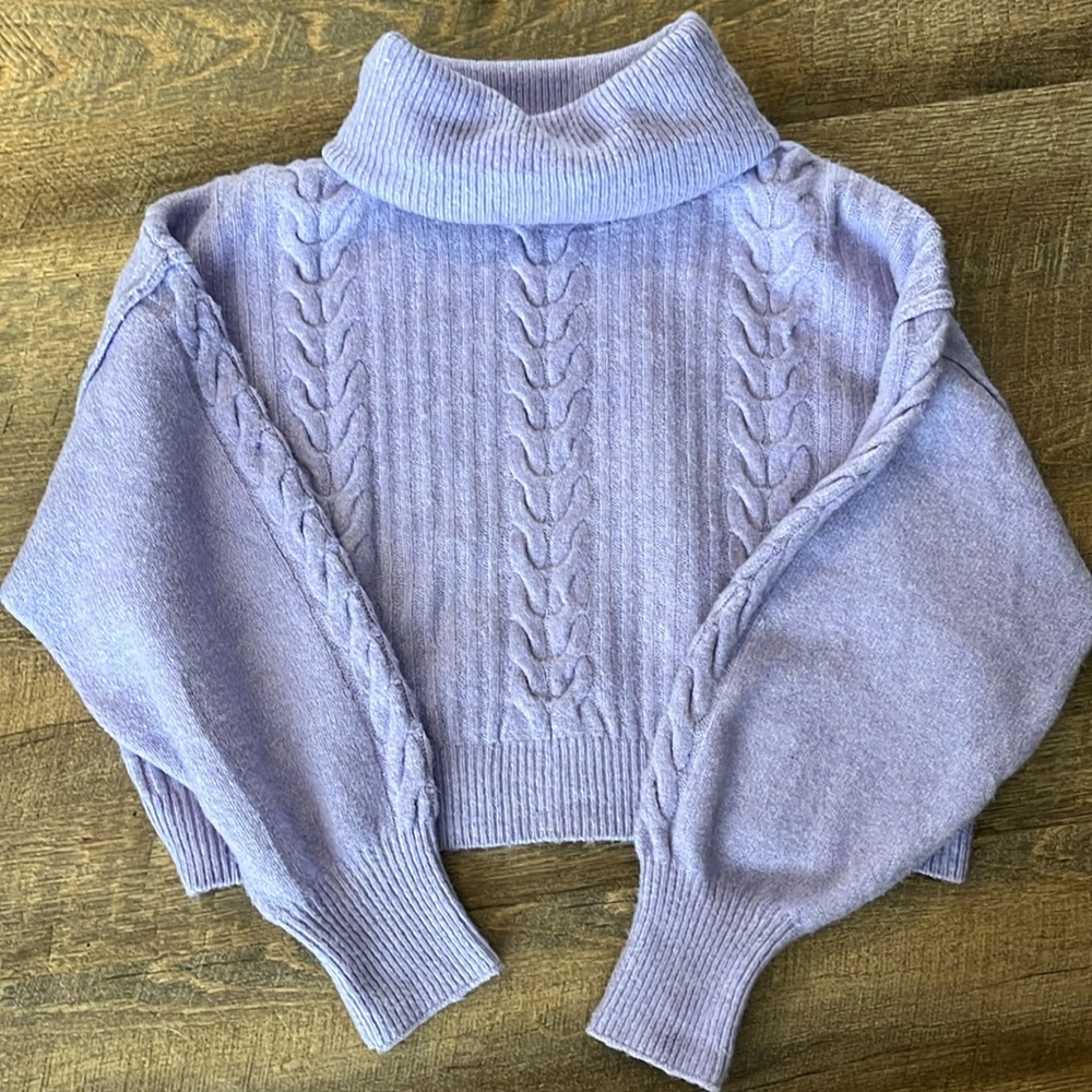 Wild Fable Turtleneck